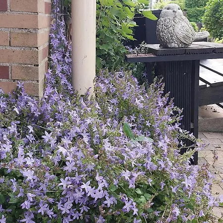 De Molshoop بيت ضيافة