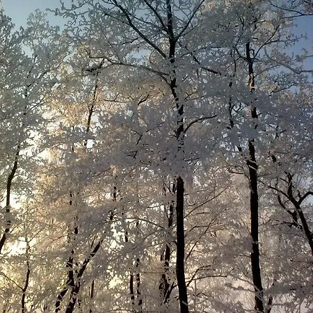 بيت ضيافة De Molshoop Landsmeer