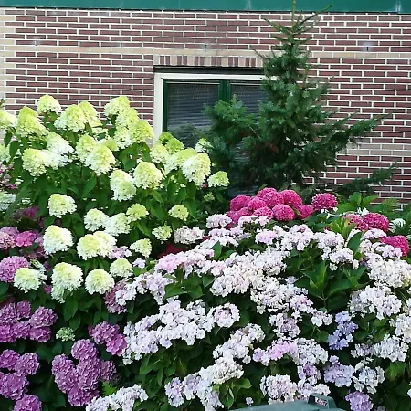 بيت ضيافة De Molshoop